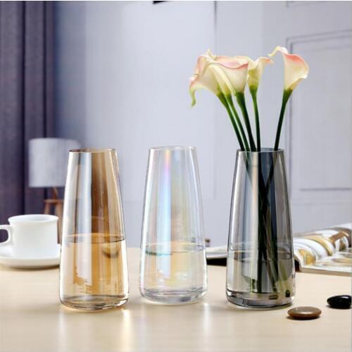 Nordic style aurora glass vase transparent flower arrangement water minimizes the tabletop small fresh glass bottle