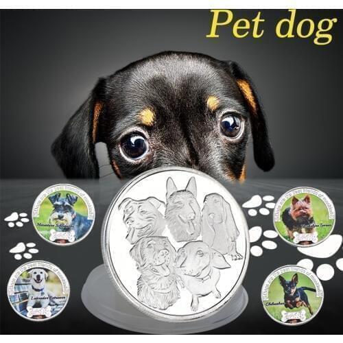 WR 10Pcs Pets Dog Silver Coins Collectibles with Coin Holder Animal Double Sided Challenge Coin Funny Gift Dropshipping