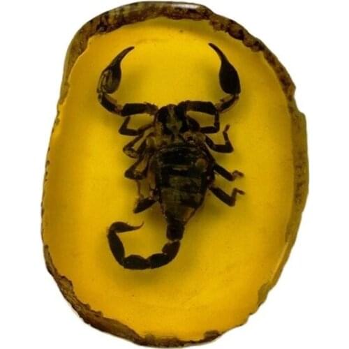 Chinese Collectible Rare Amber Inner Inlay Scorpion True Insect Specimens Animal Statue Small Gift