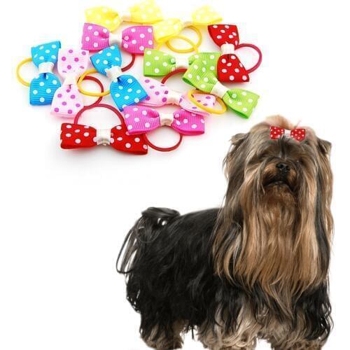 Dog Accessories HAND－IN－HAND China