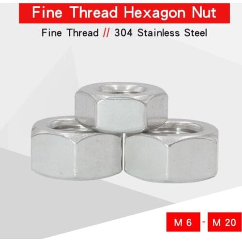 Fine Thread Hexagon Nuts M6 M8 M10 M12 M14 M16 M18 M20 304 Stainless Steel Pitch 0.75 1 1.25 1.5 Nuts Match With Screw Bolt