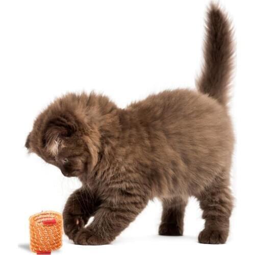 Legendog 1pc Funny Christmas Cat Spring Toy Hose Design Creative Cat Interactive Toy Pet Supplies Cat Favors Random Color