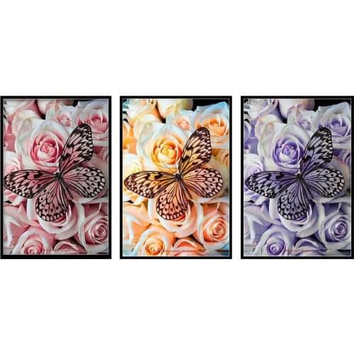 Counted Cross Stitch Kits Needlework - Crafts 14 ct Aida DMC Color DIY Arts Home Decor - Rose Butterfly Tricolor