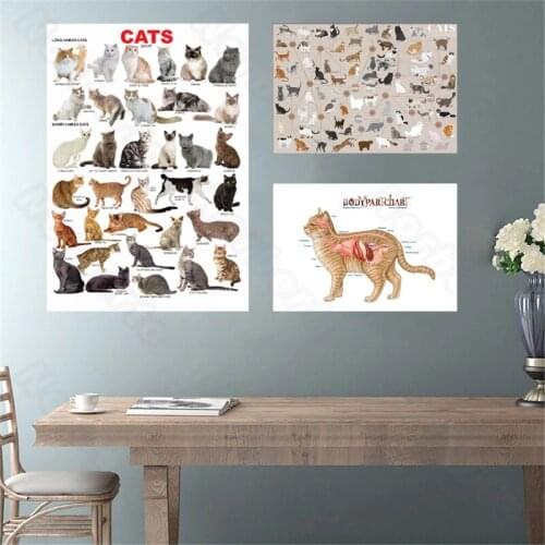 Modern Style Canvas Painting Various Cats and Body Parts Chart Poster and Print for Living Rooms Bedrooms Gallery Wall Decoratio