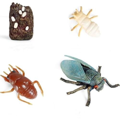 Simulation Insects Figurines Cicada Growth Cycle Model Figures Collection Science Educational Toys For Children