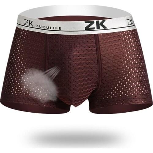 4pcs Mens Boxers Shorts Plus size Ice Silk Mens Mesh Boxers Model Boxer Underpants Sexy ropa interior de hombre Mens Panties