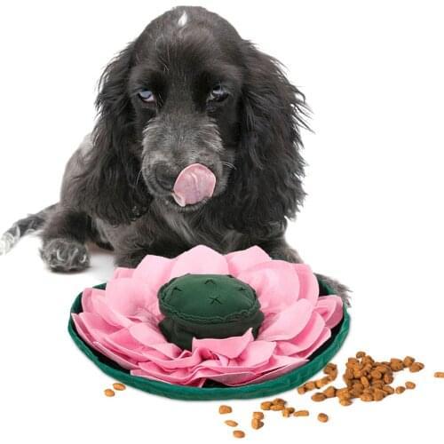Snuffle Mat Pet Dog Puzzle Toys Slow Feeding Food Mat For Dogs Nosework Dog Bowl Mat Sniffing Mat Pet Cat Puppy Training Games