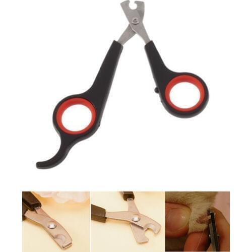 Clipper Pet claw toe tool trimmer nail scissor animal paw parrot gerbid bird cutter dog shear Rabbit grooming toenail cat