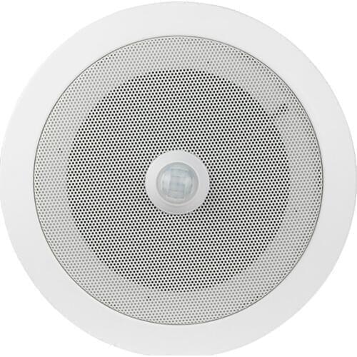 Ceiling PIR Motion Sensor Audio Player Overhead Speaker Built-in MP3 Player with 10Watts Amplifier Voice Announcer