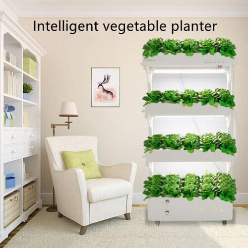 Home School Hotel Restaurant Indoor Intelligent Vegetable Planter Soilless Cultivation