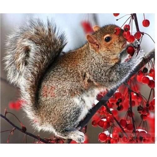 5D DIY Full Square/Round Drill Diamond Painting "Animal squirrel" Embroidery Mosaic Cross Stitch Wall Stickers Decor Gift SF108