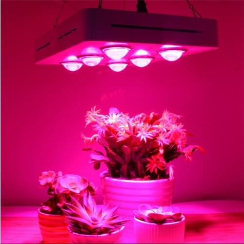 COB LED Grow Light Full Spectrum 900W COB High Luminous Efficiency for Indoor Hydroponic Greenhouse Plant Growth Lighting