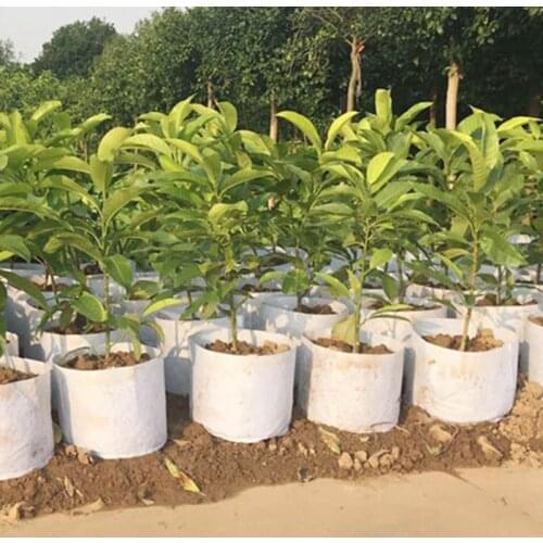 Уличные горшки KABOER China At AliExpress