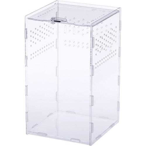Insect Feeding Box Transparent Acrylic Terrarium Container for Spiders Scorpions