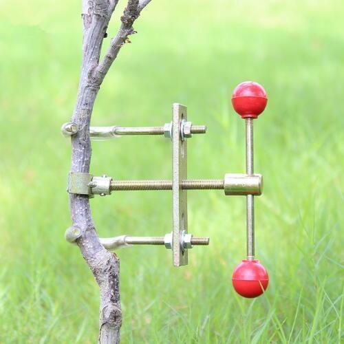 Bonsai Tools The Trees Branch Modulator Trunk Lopper Regulator Repair Grafting Knife Tool Garden Pruner Shears Ferramenta