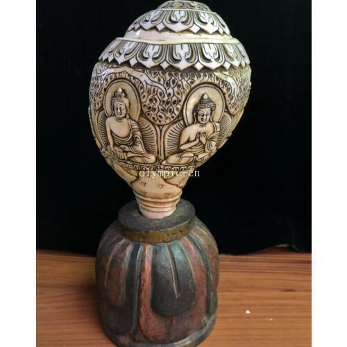 7'' Nepal tibet natural conch sea snail handwork Amitabha tathagata Sakyamuni