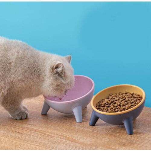 2021 Pet Dog Cat Bowl Raised Tilted Elevated Dish Water Food Feeder Plastic Container Accessories Backflow Prevention Wholesale