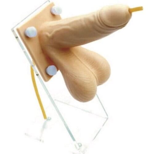 Gynecological Skills Training Male Condom Practice Model