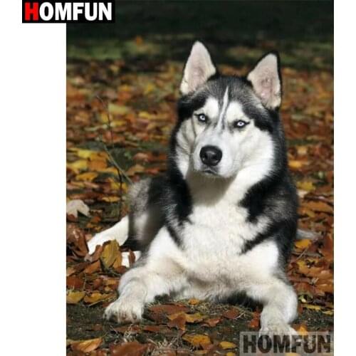 HOMFUN 5D DIY Diamond Painting "Dog animal pet" Full Drill Resin Diamond Embroidery Cross Stitch Home Decor A30067