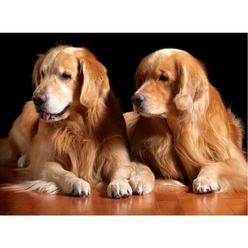 5D square DIY Diamond Painting Golden Retriever Wall Picture Daimond Embroidery cute pet Cross Stitch kits Mosaic Home Decor