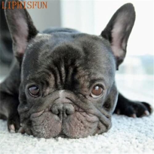 Diamond Painting Cross Stitch Full Square Round Picture of Rhinestone DIY Mosaic Embroidery Bulldog New Year Gift