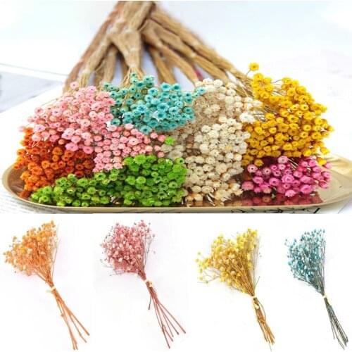 25pcs /bunch Happy Flower Natural Dried Flower Bouquet Home Decoration Real Flower Diy Flower Arrangement Flower Shooting Props