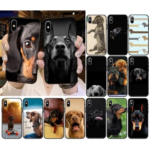 Black Dachshund Doberman Dog face Phone Case For iPhone 12 mini 12Pro Max SE2 11 11Pro XS MAX XR 7 8 6 Plus 5 5S SE