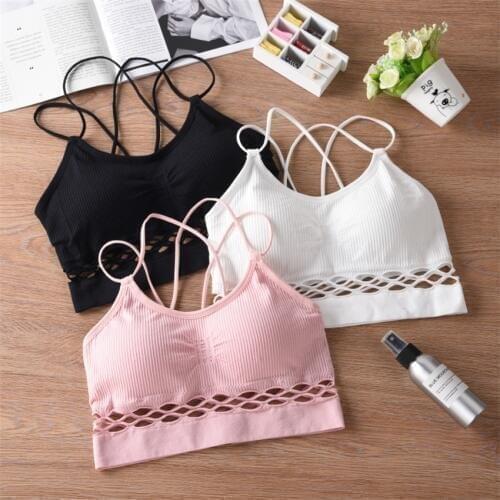 DLOV DESIRE Goods For Tourism