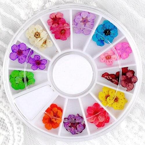 24PCS 12 colors dried flower flower for nail art decorations natural nail dry flowers wheel nail supplies tool