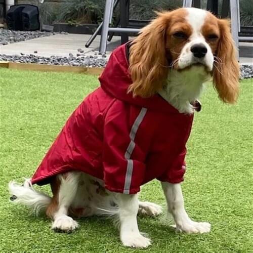 New Style Pet Dog Reflective Outdoor Jacket Winter Warm Raincoat Windbreaker Small Medium Dogs Clothes Chihuahua Yorkie TDC01