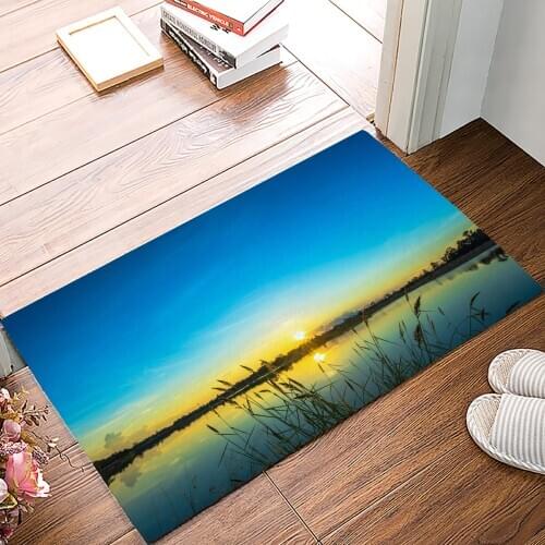 Sunset Evening Reed Plant Doormat Bedroom Kitchen Floor Mat Bathroom Anti-Slip Rug Home Doormat for Entrance Door