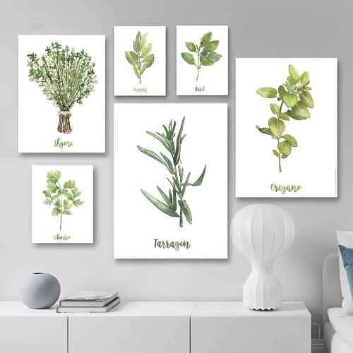 Eucalyptus Spices Herb Collection Kitchen Wall Art Canvas Posters and Prints Cilantro Oregano Thyme Botanical Painting Pictures
