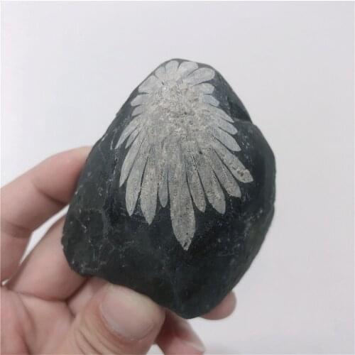 Natural Crystals Quartz Black Chrysanthemum Raw Specimen Ore Energy Reiki Healing Stones Room Home Office Decoration Gemstone