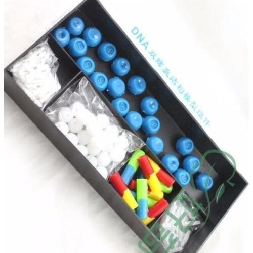 Atomic structure diagram laboratory equipment plastic DNA structure model free shipping