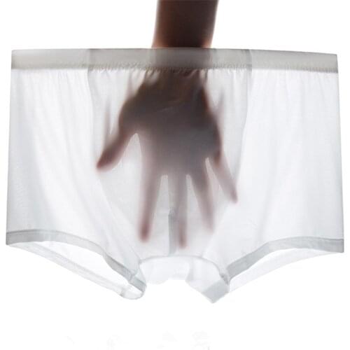 Summer Thin Mens Panties Breathable Flexible Elastic Boxershorts Underpants Solid Male Panties L-4XL Cuecas Boxer Masculina