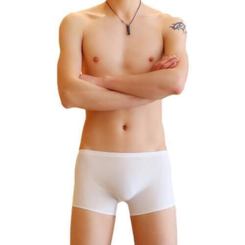 VANSTINBUM Sexy Low Waist Bulge U Pouch Boxer Shorts Cueca Mens Ice Silk Ultra-thin Seamless Skin-friendly Breathable Underwear