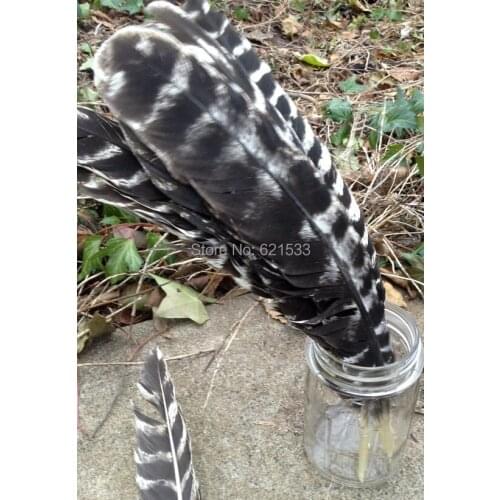 50PCS/LOT! 25-30CM 10-12inches Wild Turkey Quill feathers -Wild Turkey wing feather-smudge supplies