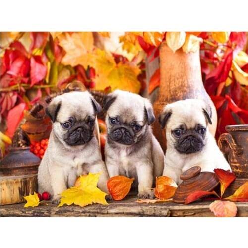 5d Diamond Painting Full Square/Round Dog Animal Picture Of Rhinestone DIY Diamond Embroidery Mosaic Home Decor Gift