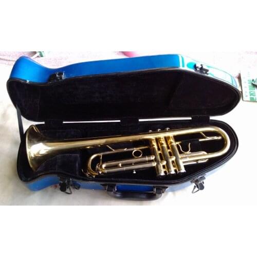 Blue color Trumpet glass fiber steel case Trumpet case or box