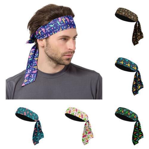 Dinosaur Printed Sports Hair Band for Male Outdoor Cycling Running Tennis Sweat Band Yoga Fitness Workout Anti-Slip Headband