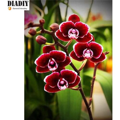 Full Square&round Drill 5D DIY Diamond Painting red flower 3D Embroidery set Cross Stitch Mosaic Decor gift