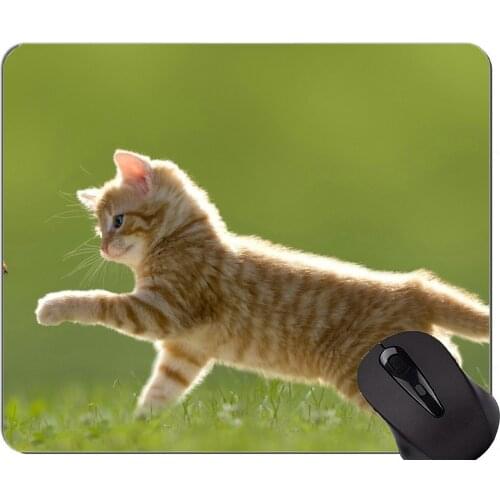 Mouse Pad with Stitched Edge,Kitten Lawn cat ladybug Non-Slip Rubber Base Mousepad