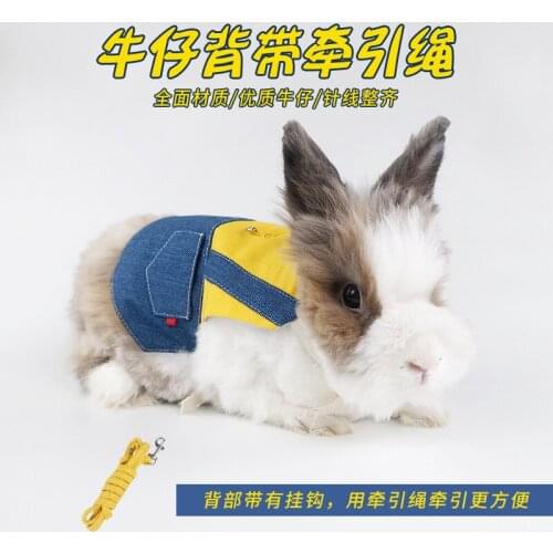 Pet Bunny Clothes Leash Bunny Kitten Cat Cat Lop-eared Rabbit Decoration Costume Traveling to take pictures