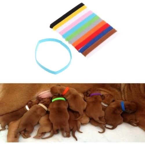 12Pcs/Set Pets Puppy Collars Different Colors Soft Identification Mark For Cats Dogs Double-Sided Light Tag Adjustable Collars