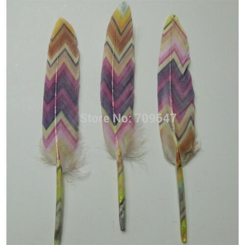 Feather!100PCS/lot!Printed Duck Cochettes Wholesale Loose Feathers Art Project Decorate Costume Pen,10-15cm long