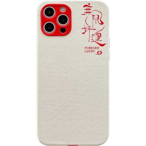 Chinese Character Bright Future Case for iPhone 12 Pro Max Back Phone Cover for 12 Mini 11 Pro Max X XS XR 8 7 Plus SE 2020 Capa