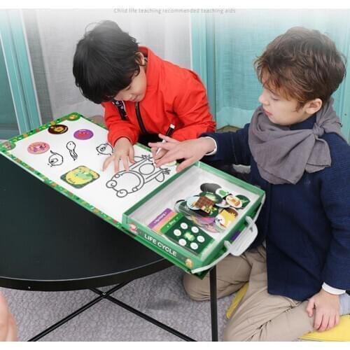 Magnetic Lifecycle Frog Animal Puzzles Pen Painting Board Kids Teaching Aids Toy Gift Early Learning Education Toy For Children
