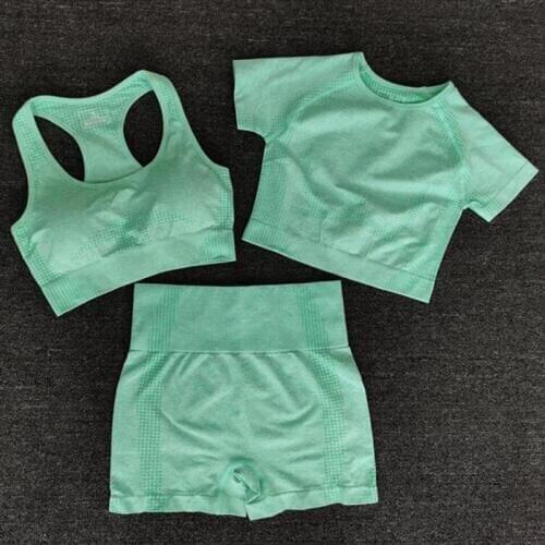 3 PCS Women Summer Seamless yoga set Fitness Sports Suits GYM Clothing Yoga T-Shirts+High Waist shorts+Bra Workout Pants