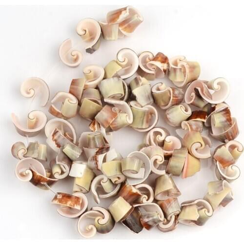 About 10mm Irregular Roll Shell Beads Gem Semi Precious Loose Stone Beads Charms Conch Beads For DIY Necklace Jewelry Wholesale
