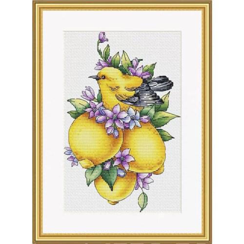Precise Printing Hand Embroidery S286 Lemon and Bird Fishxx Cross Stitch Kit